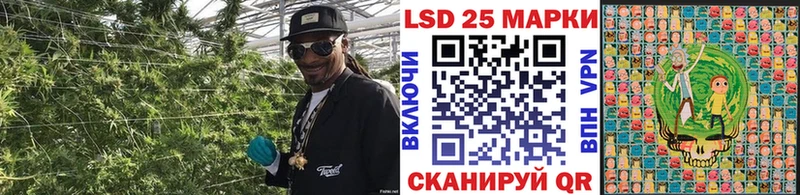 Купить где  Медынь  Марки NBOMe 1,8мг 