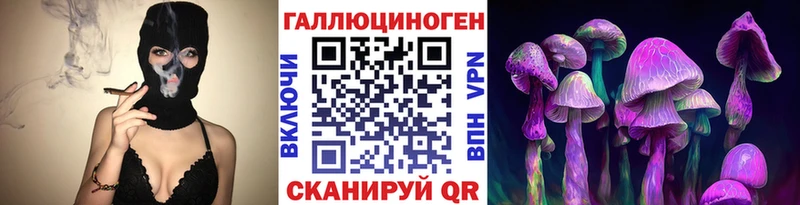 Псилоцибиновые грибы Cubensis Купить где Медынь